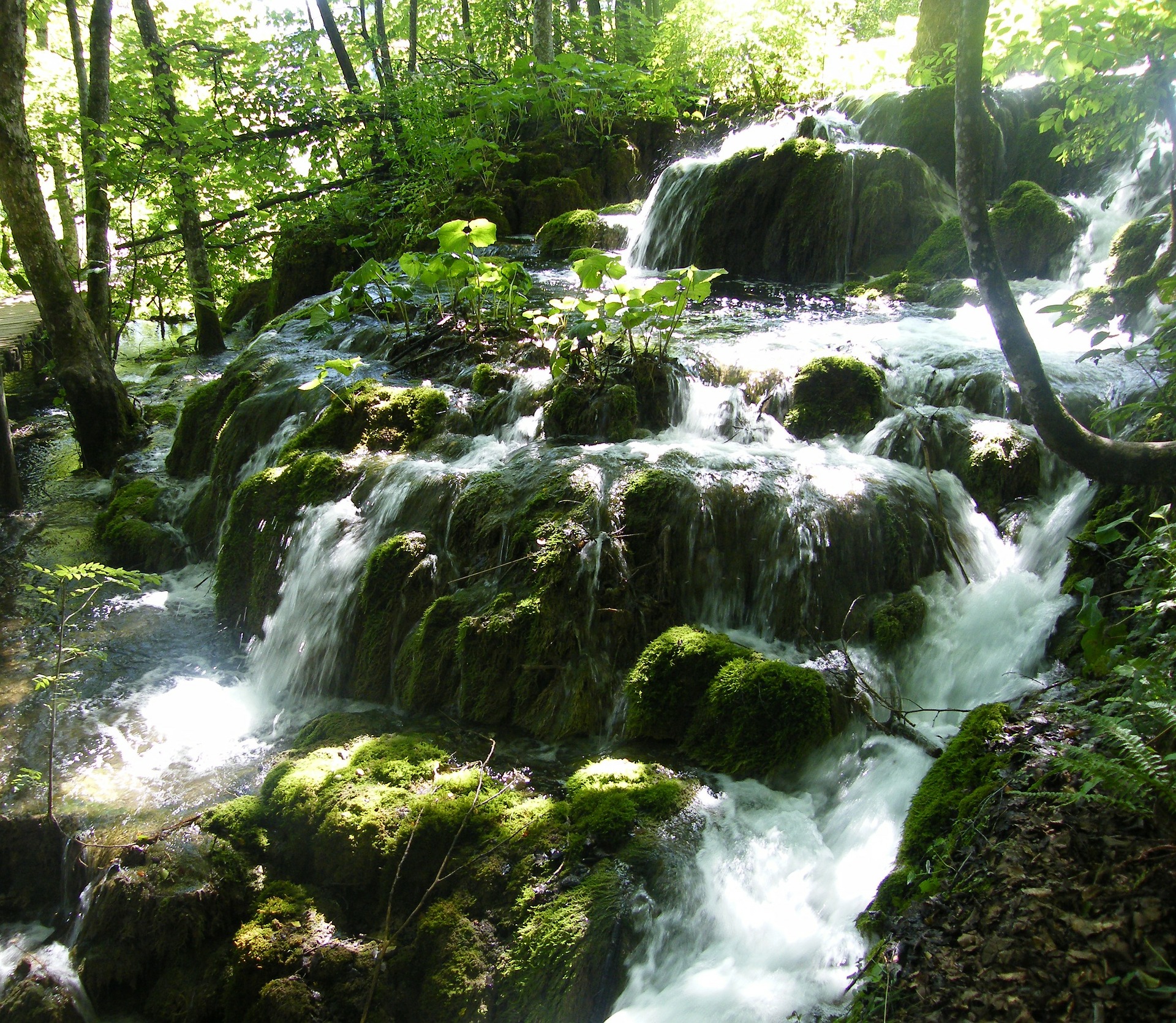 Water Body Revival